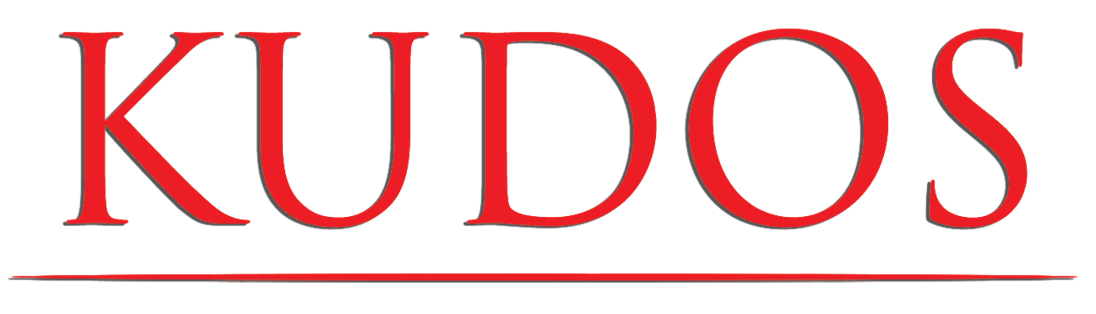 KUDOS LLC